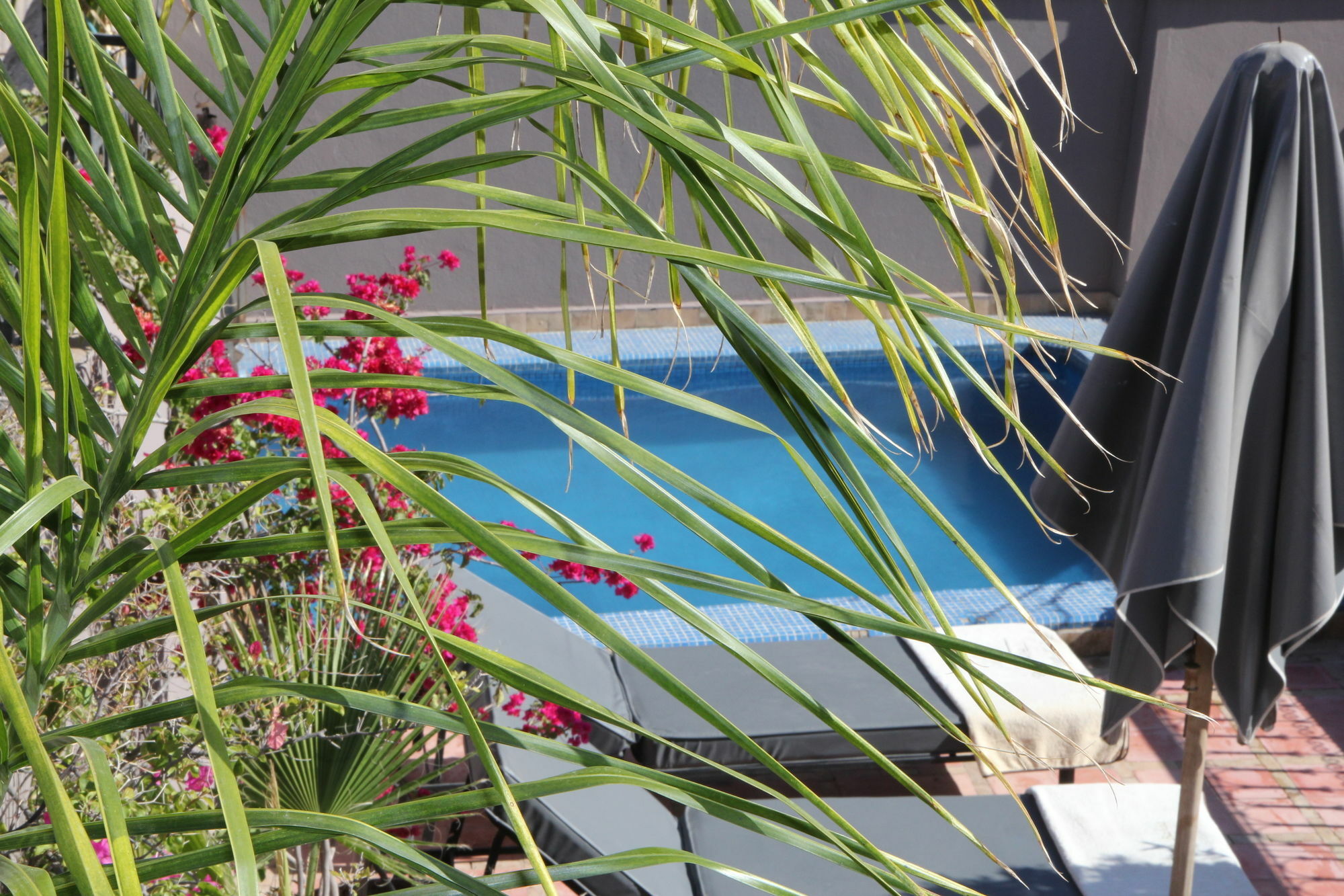 Terra Bahia Riad Marrakesch